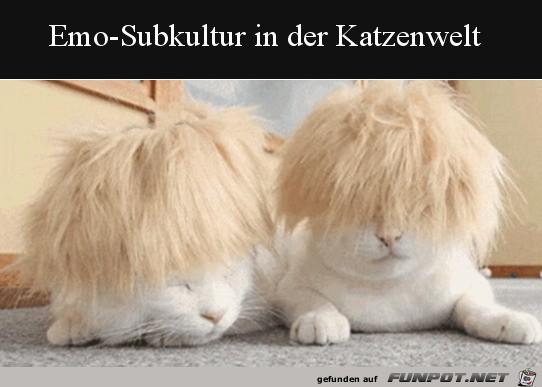 Emo-Katzen