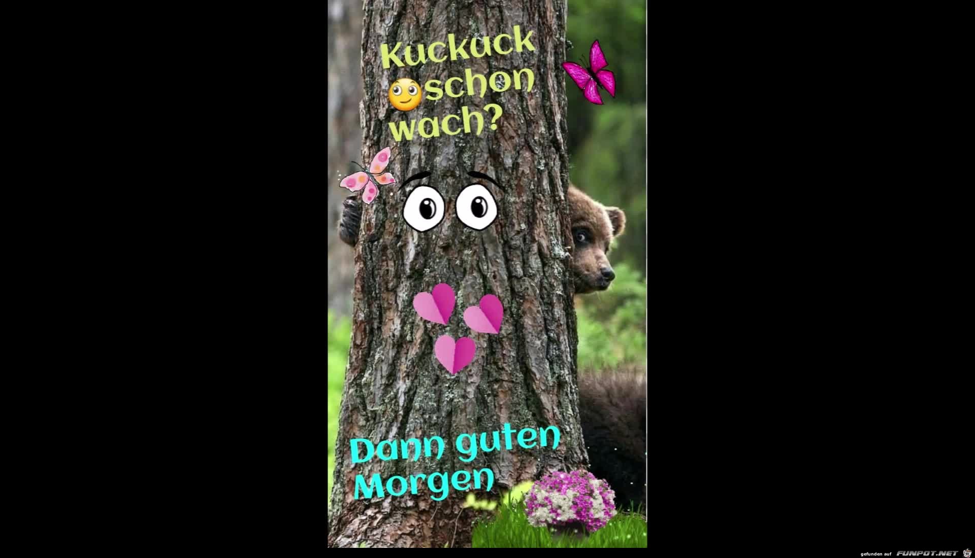 Kuckuck