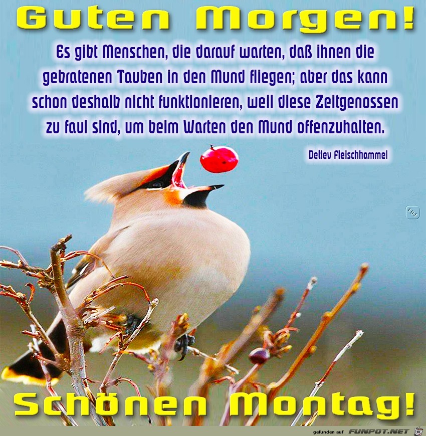 Montag