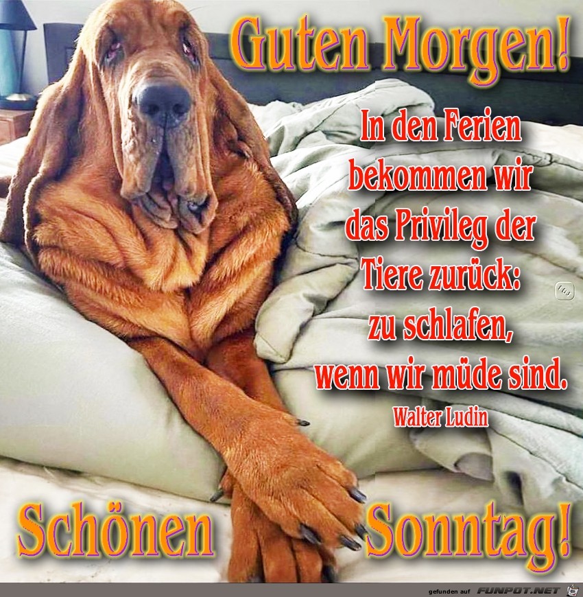 Sonntag