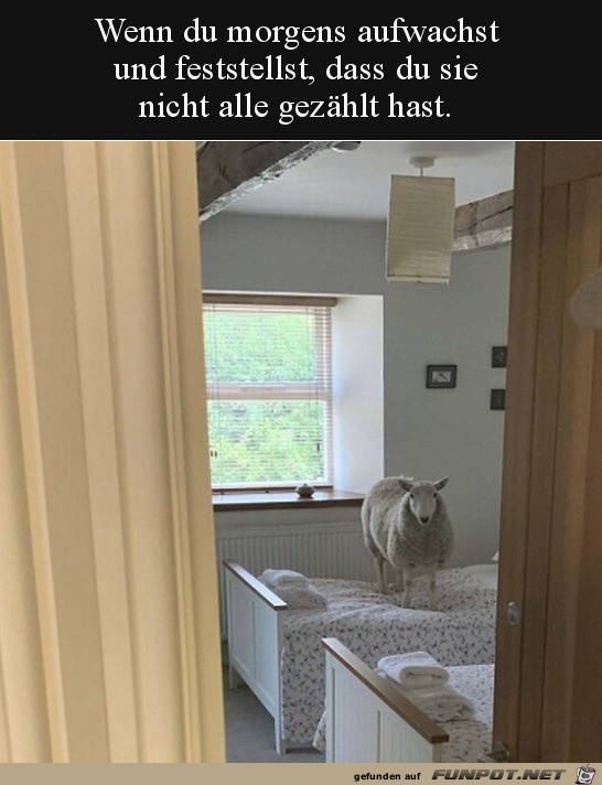 witzige Bilder aus verschiedenen Blogs