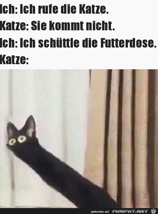 Mit der Futterdose schtteln hilft immer