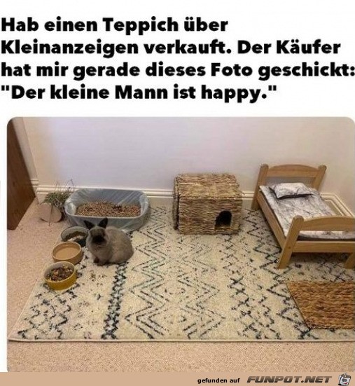 herzige Tierbilder