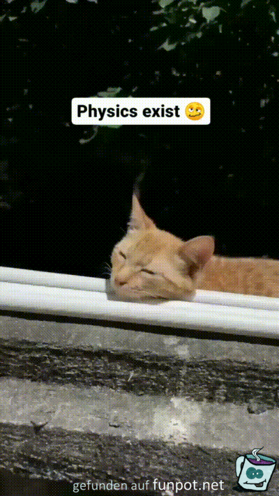 Physik existiert