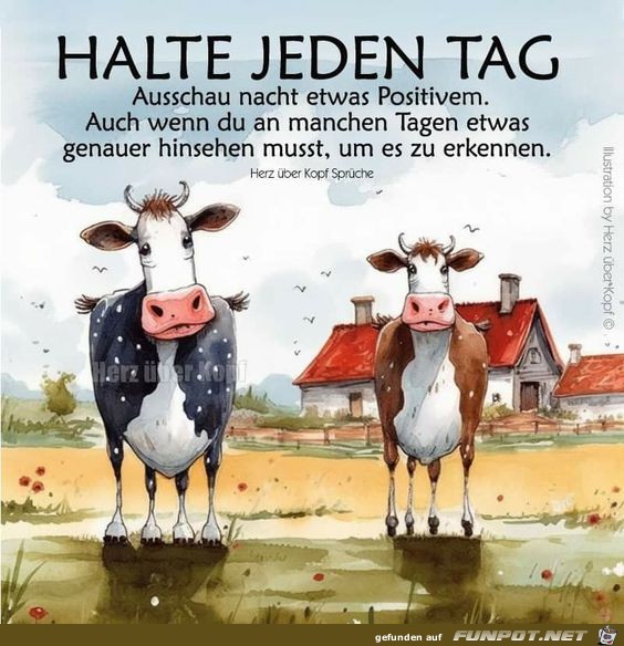 Halte jeden Tag Ausschau