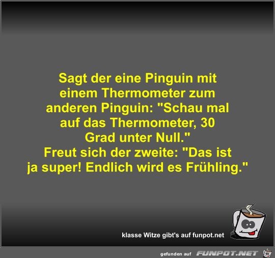 Sagt der eine Pinguin mit einem Thermometer zum anderen...