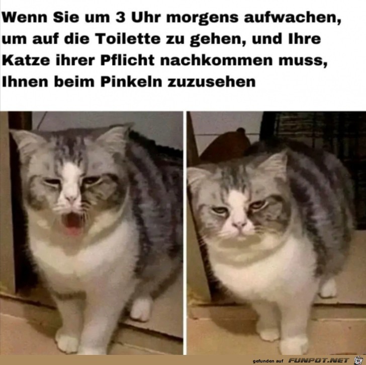 Sieht mde aus