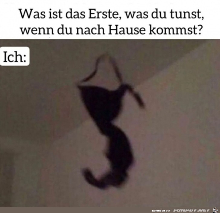 witzige Bilder aus verschiedenen Blogs