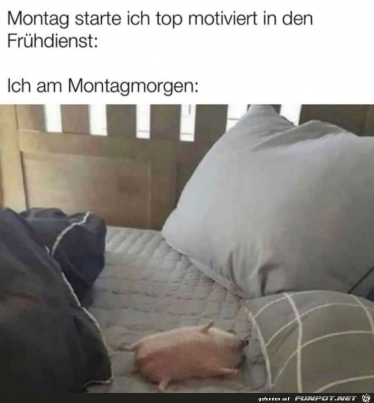 Montagmorgen