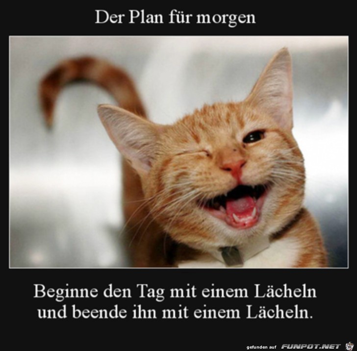 Plan fr morgen