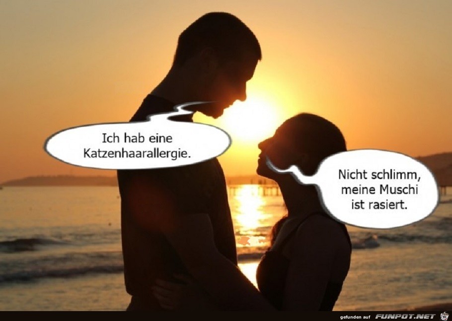 Katzenhaarallergie