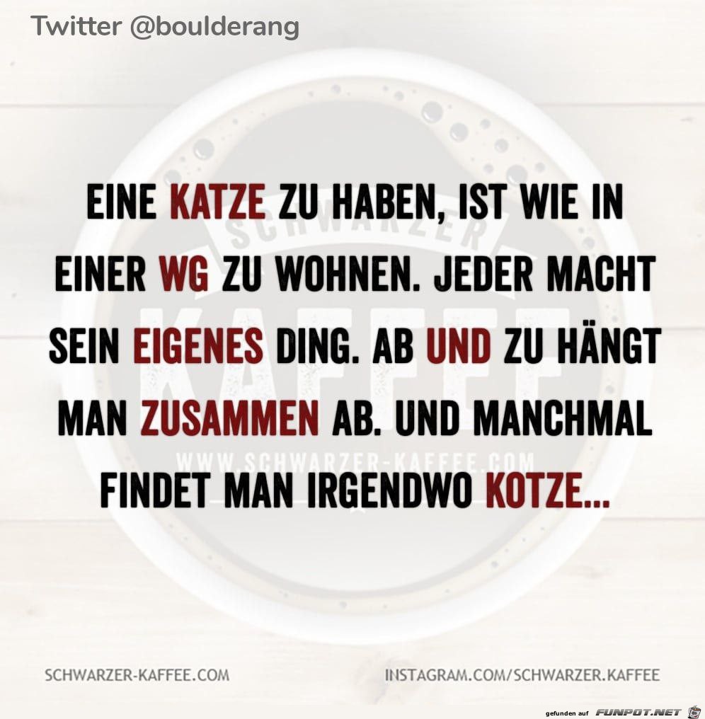 Da ist was dran