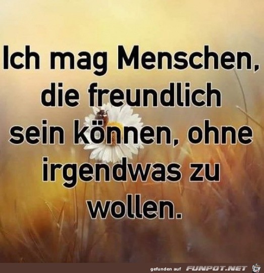 Die mach ich auch