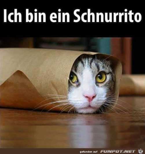 Schnurrito