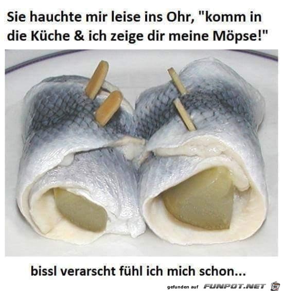 Möpse Möpse