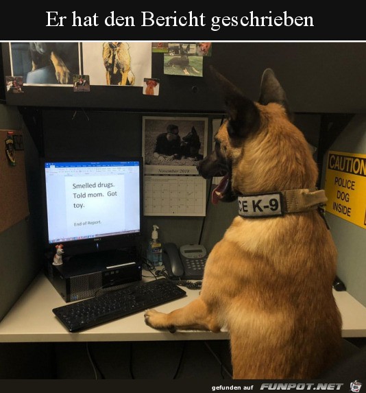 Bericht geschrieben