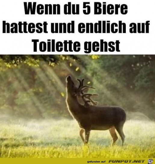 Das tut gut