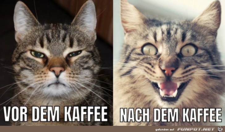 Vor und nach dem Kaffee