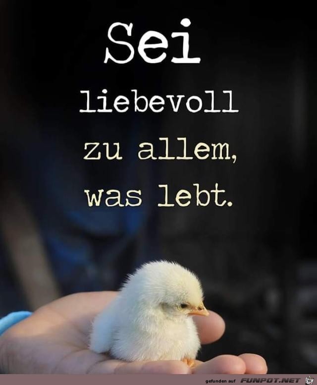 Sei liebevoll