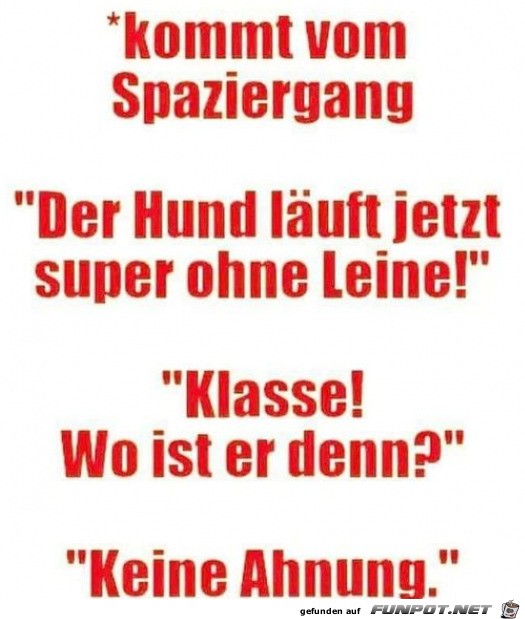 klasse Sprche und Witze!