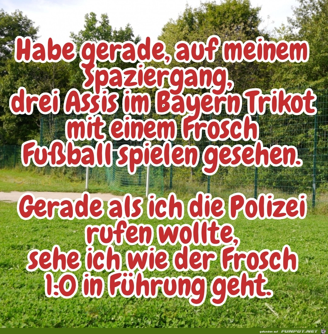 Fussball