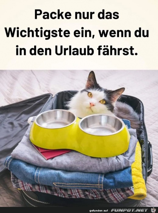 Nur Wichtiges einpacken