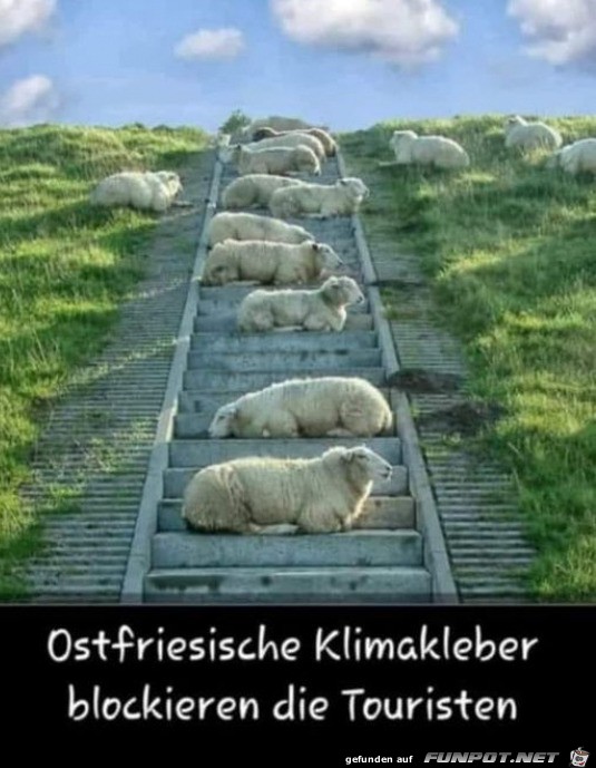 Ostfriesische Klimakleber