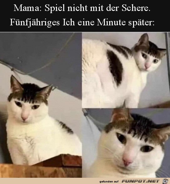 Mit der Schere gespielt