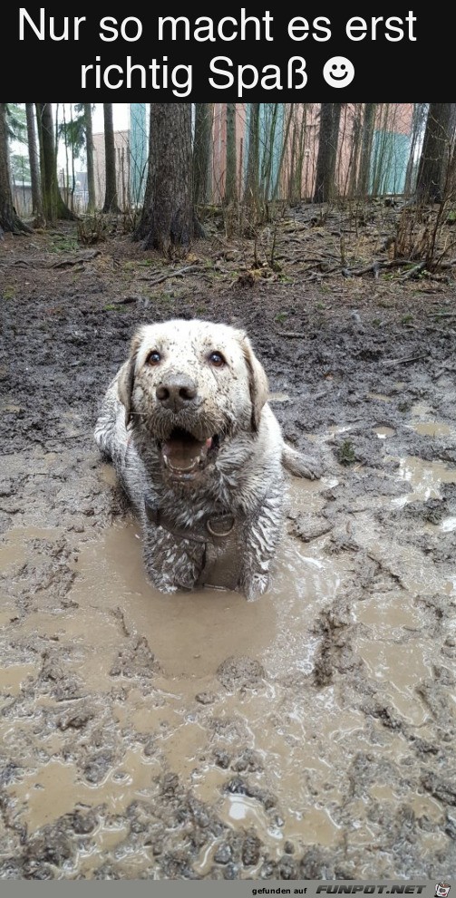 Nur so macht es Spa