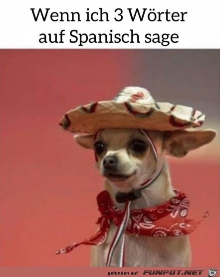Der Spanisch-Held