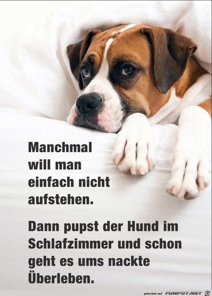 Manchmal