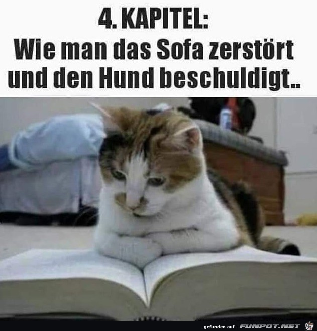 Mal nachlesen