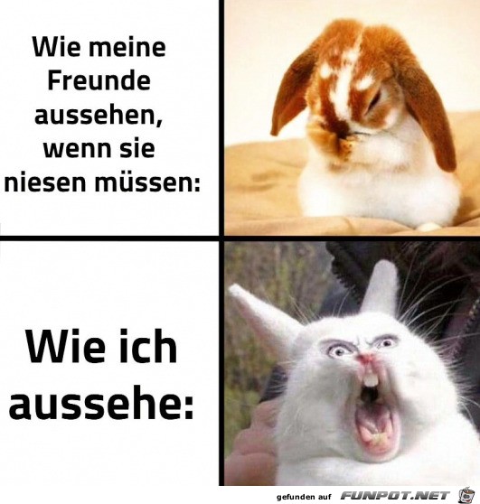 Man muss niesen