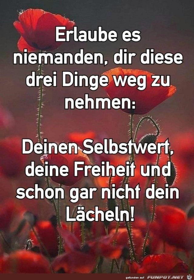 10 schne Sprche und Lebensweisheiten aus...