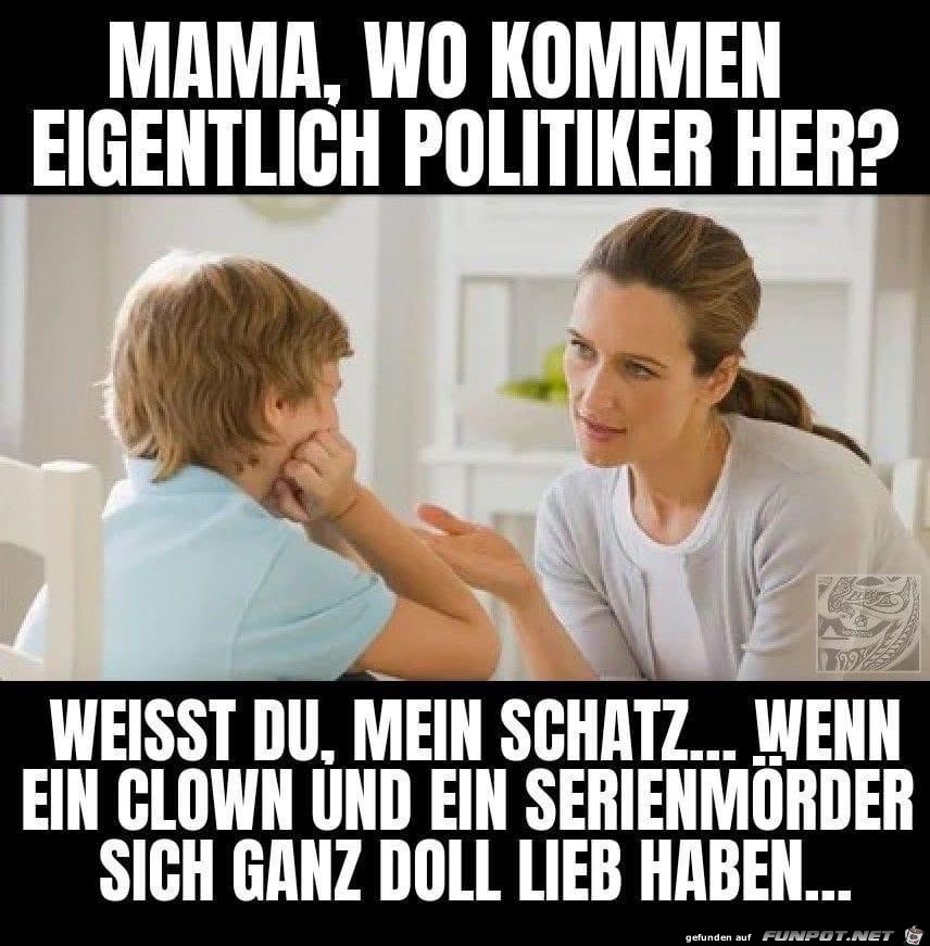 Politiker Politiker