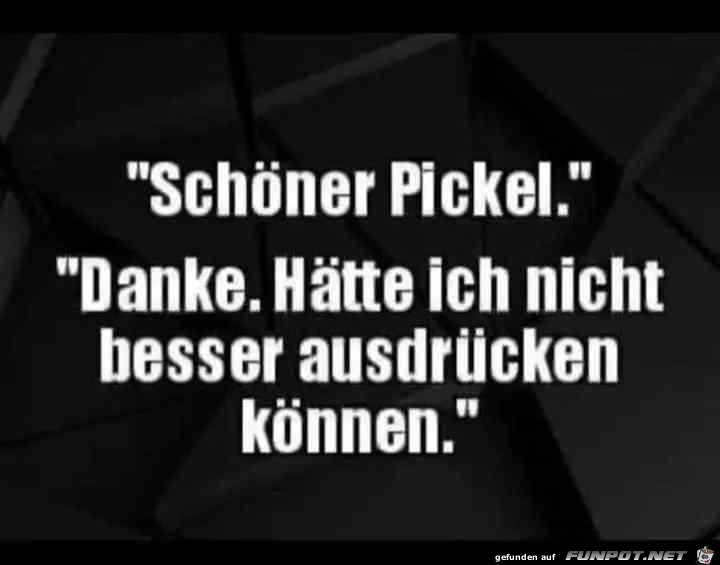 Schner Pickel