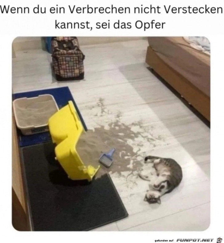 Sei das Opfer