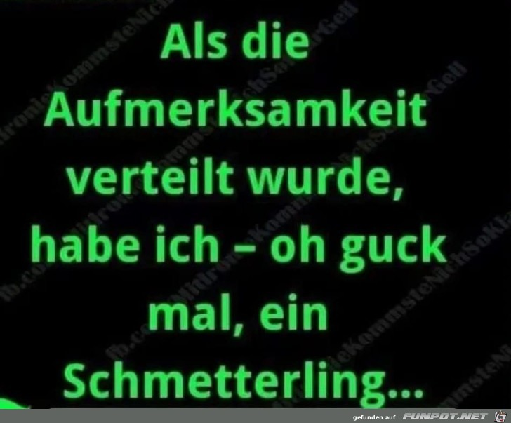 Die Aufmerksamkeit