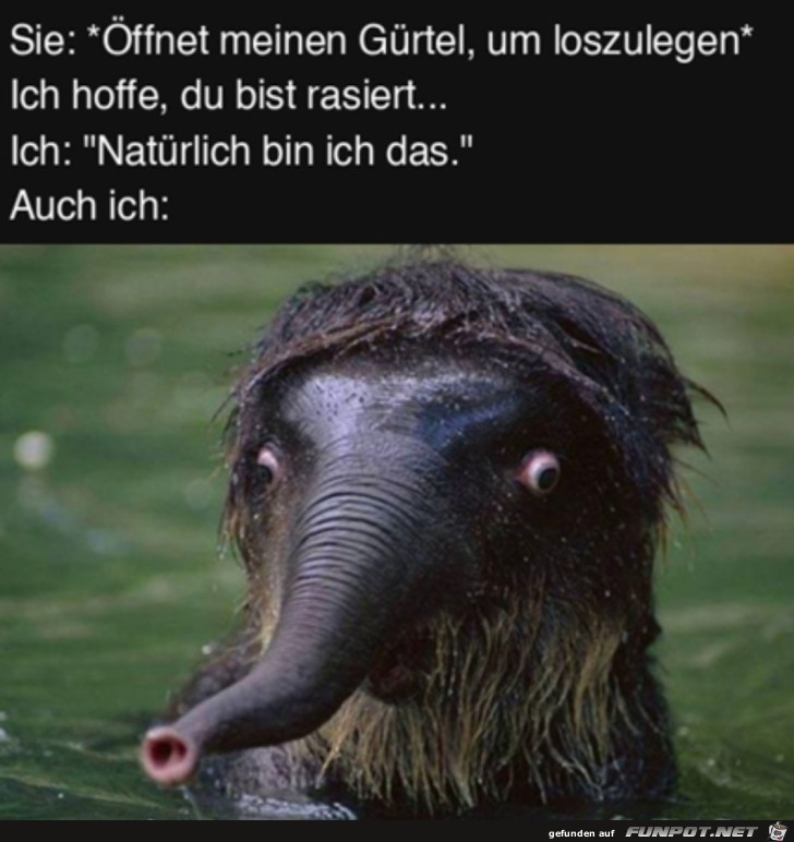 Sie hofft falsch