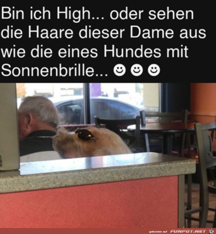 Sieht wirklich aus wie ein Hund