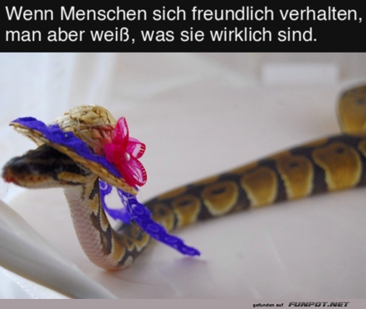 Wenn Menschen sich freundlich verhalten