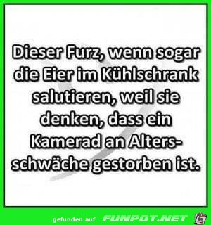 Dieser Furz