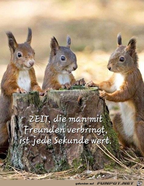 Zeit mit Freunden