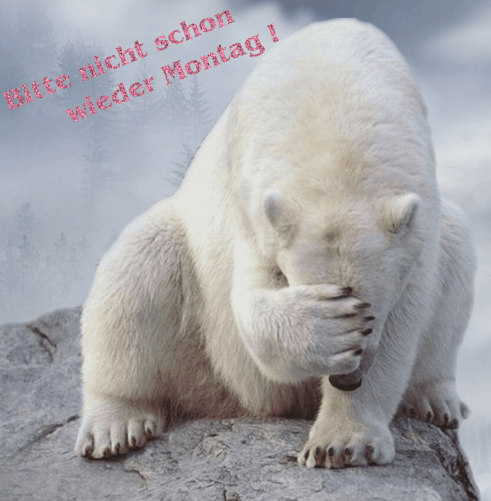 Bitte nicht schon wieder Montag