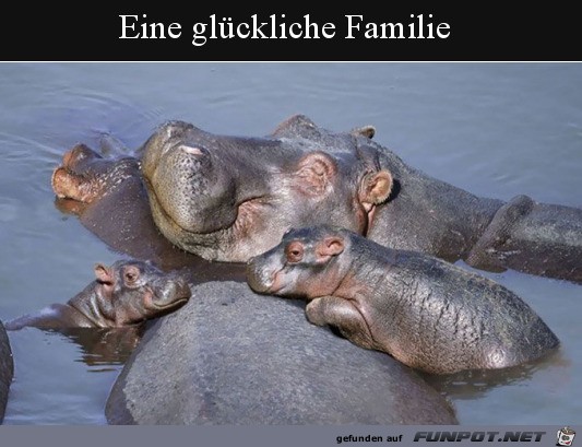 Glckliche Familie