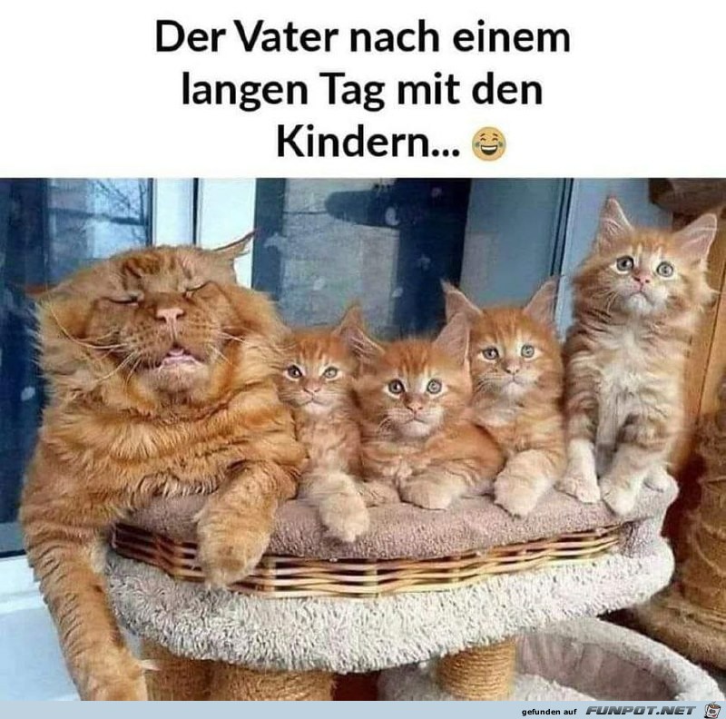 Der Vater