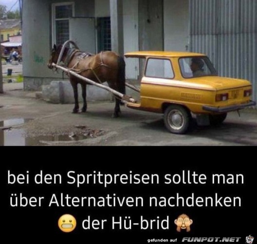 Der H-brid