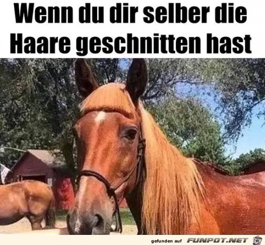 witzige Bilder aus verschiedenen Blogs