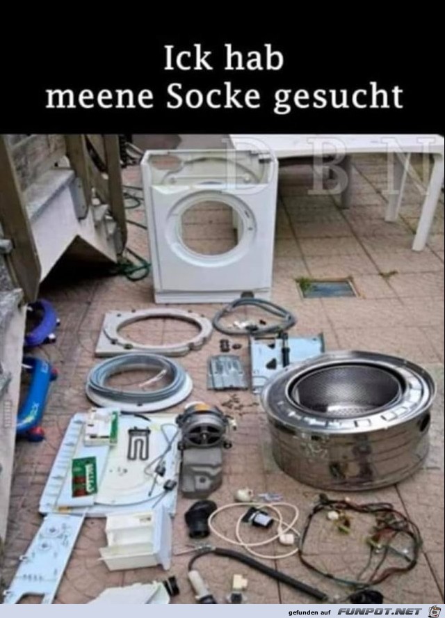 Socke gesucht Socke gesucht