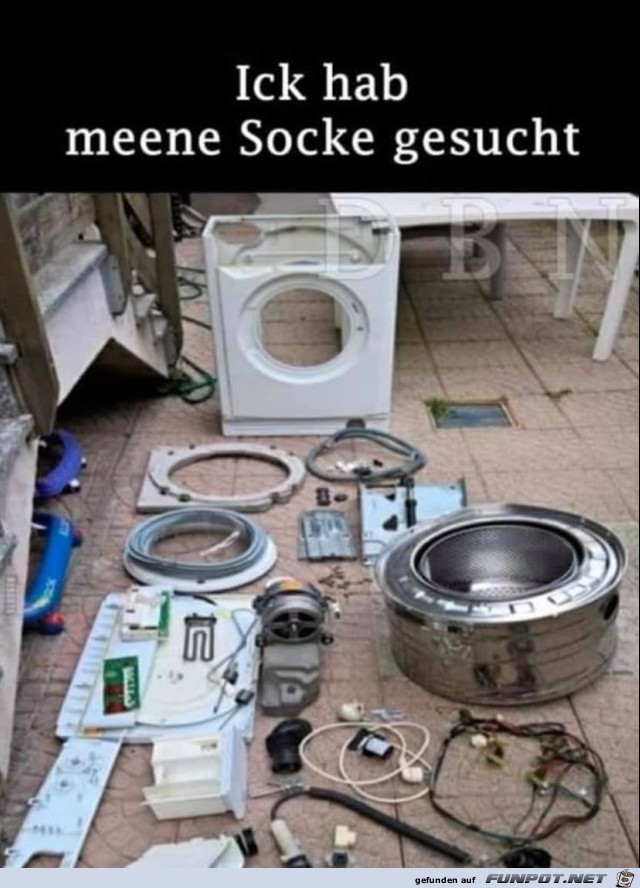 Socke gesucht